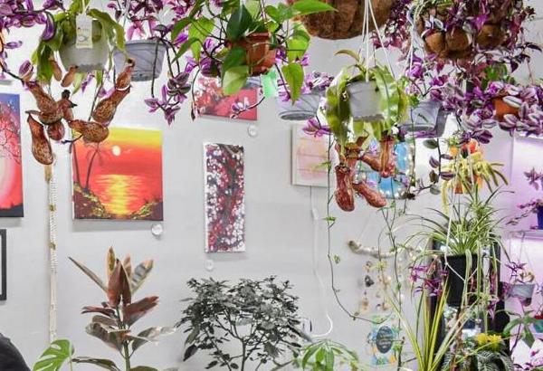 Original colorful paintings displayed inside Lucianna's Garden