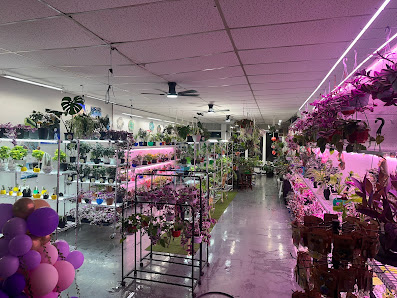 Plant-filled aisles inside Lucianna's Garden, with pink grow lights